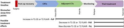 Blood Biomarkers of Glioma in Response Assessment Including Pseudoprogression and Other Treatment Effects: A Systematic Review